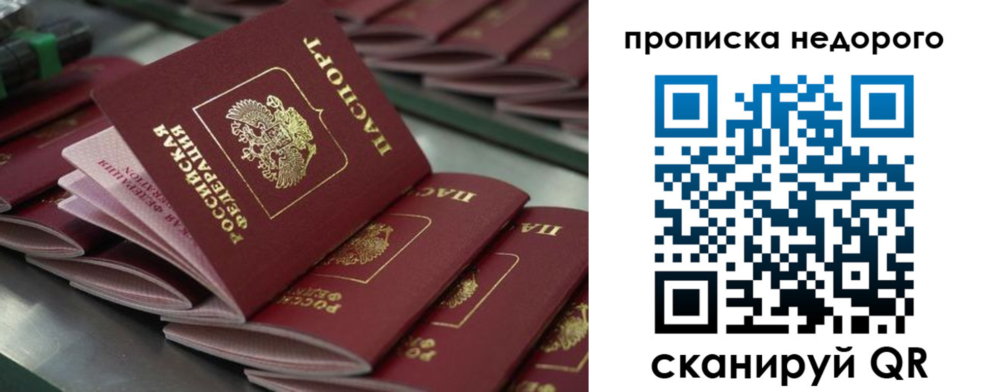 временная регистрация поиск в Грозном
